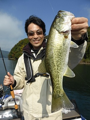 truth news ブログ写真 2013/11/16