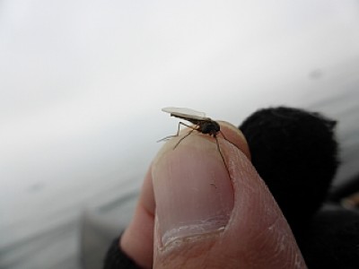 truth news ブログ写真 2013/11/17