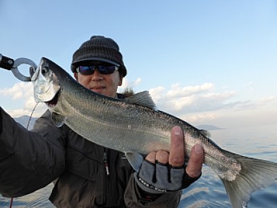 truth news ブログ写真 2013/12/02