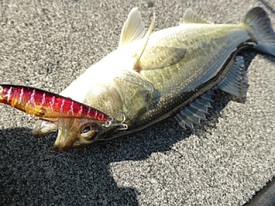 truth news ブログ写真 2013/12/03