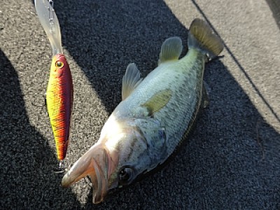 truth news ブログ写真 2013/12/03