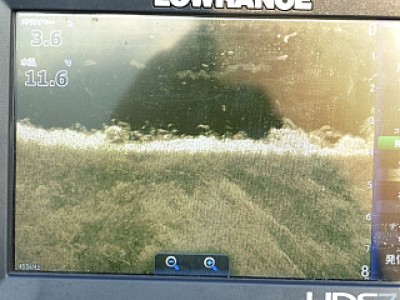 truth news ブログ写真 2013/12/03