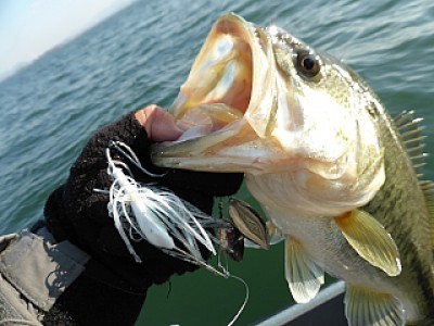 truth news ブログ写真 2013/12/03