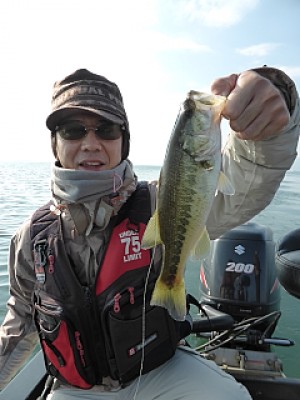 truth news ブログ写真 2013/12/03