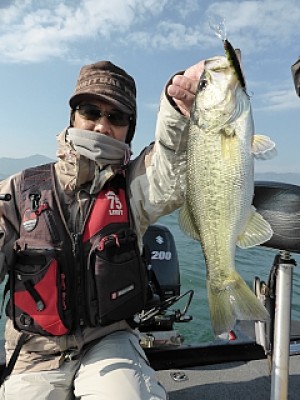 truth news ブログ写真 2013/12/03