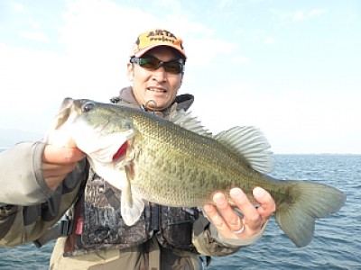 truth news ブログ写真 2013/12/03