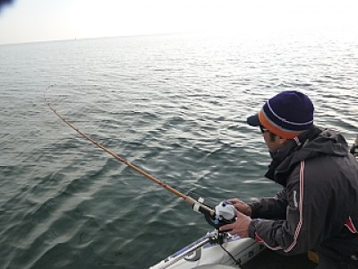 truth news ブログ写真 2013/12/05