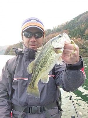 truth news ブログ写真 2013/12/05