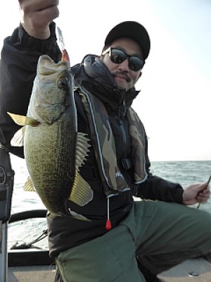 truth news ブログ写真 2013/12/07