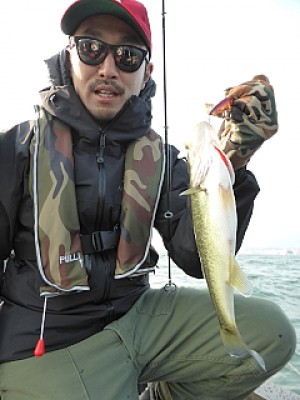 truth news ブログ写真 2013/12/07