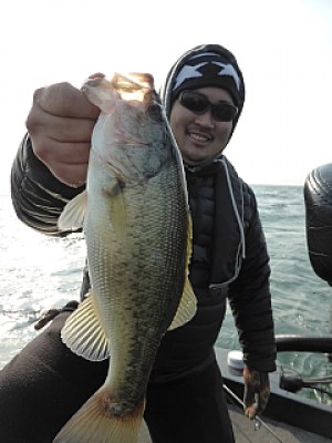 truth news ブログ写真 2013/12/07