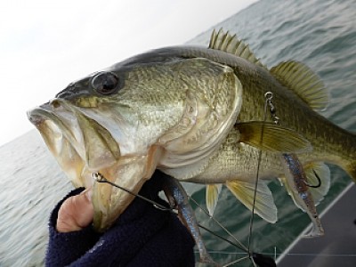 truth news ブログ写真 2013/12/07