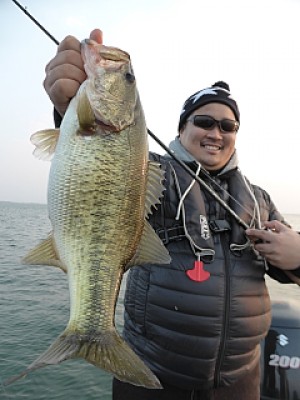 truth news ブログ写真 2013/12/07