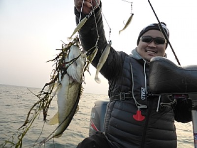 truth news ブログ写真 2013/12/07