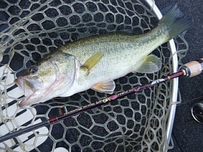 truth news ブログ写真 2013/12/08