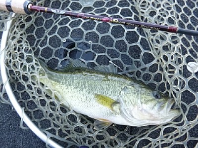 truth news ブログ写真 2013/12/08