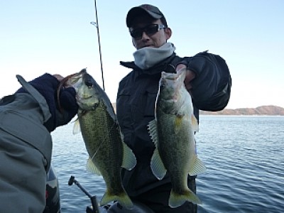 truth news ブログ写真 2013/12/08