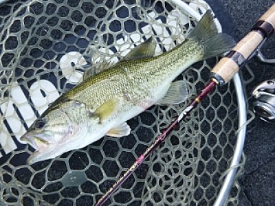 truth news ブログ写真 2013/12/08