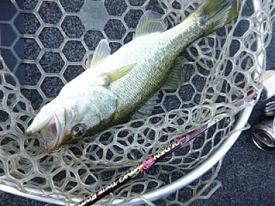 truth news ブログ写真 2013/12/08