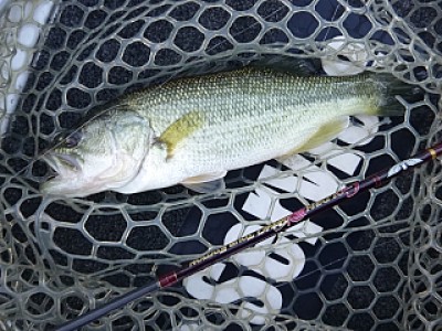 truth news ブログ写真 2013/12/08