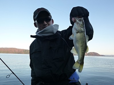 truth news ブログ写真 2013/12/08