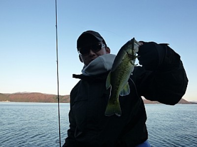 truth news ブログ写真 2013/12/08