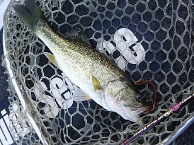 truth news ブログ写真 2013/12/08