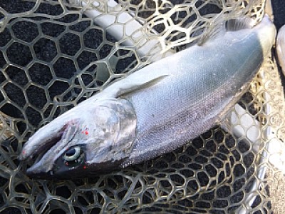 truth news ブログ写真 2013/12/08