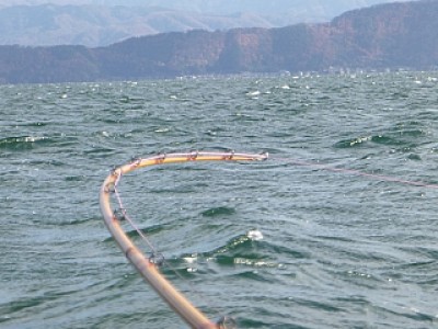 truth news ブログ写真 2013/12/08