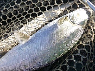 truth news ブログ写真 2013/12/08