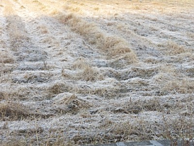 truth news ブログ写真 2013/12/10