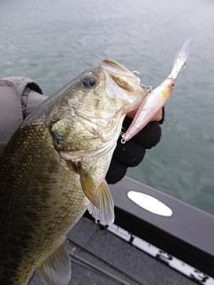 truth news ブログ写真 2013/12/10