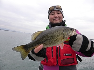 truth news ブログ写真 2013/12/10