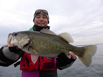 truth news ブログ写真 2013/12/10