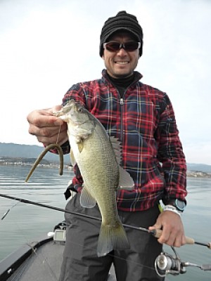 truth news ブログ写真 2013/12/10