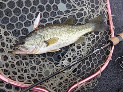 truth news ブログ写真 2013/12/10