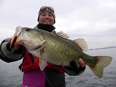 truth news ブログ写真 2013/12/10