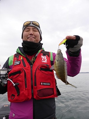 truth news ブログ写真 2013/12/10