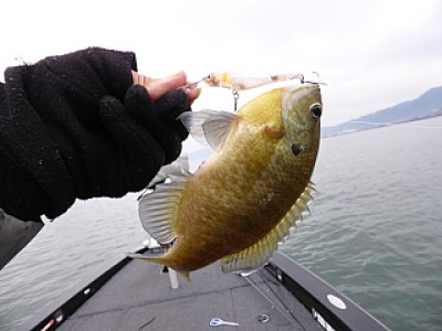 truth news ブログ写真 2013/12/10