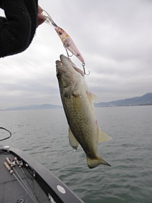 truth news ブログ写真 2013/12/10