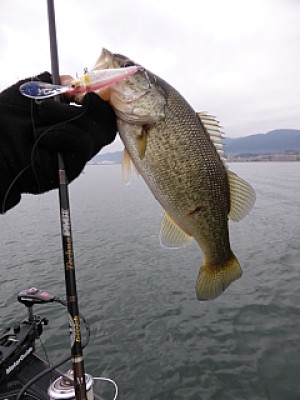 truth news ブログ写真 2013/12/10