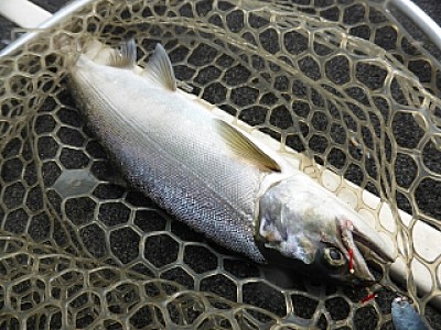 truth news ブログ写真 2013/12/11