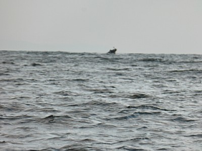 truth news ブログ写真 2013/12/11