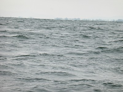 truth news ブログ写真 2013/12/13