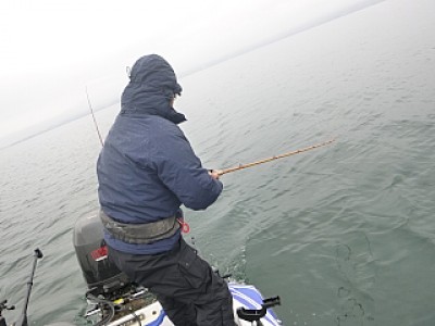 truth news ブログ写真 2013/12/19