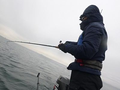 truth news ブログ写真 2013/12/19