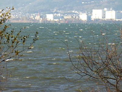 truth news ブログ写真 2013/12/20