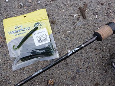 truth news ブログ写真 2013/12/20