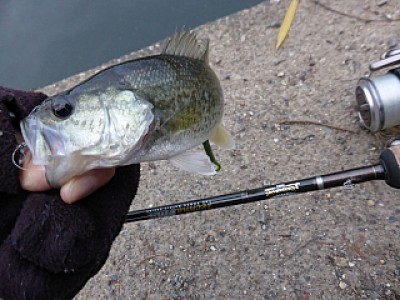 truth news ブログ写真 2013/12/20