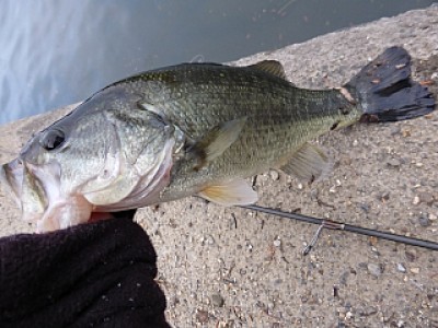 truth news ブログ写真 2013/12/20